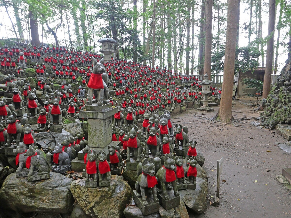 「靈狐塚」，約800尊狐狸像密密排列的景色相當震撼。