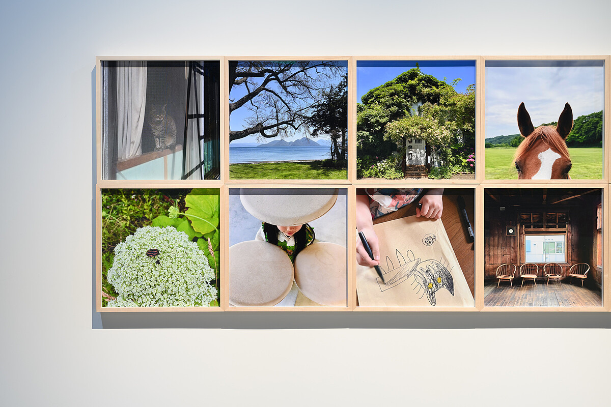 奈良美智攝影展現場