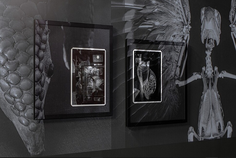 展出現場｜北師美術館提供，攝影：dulub studio