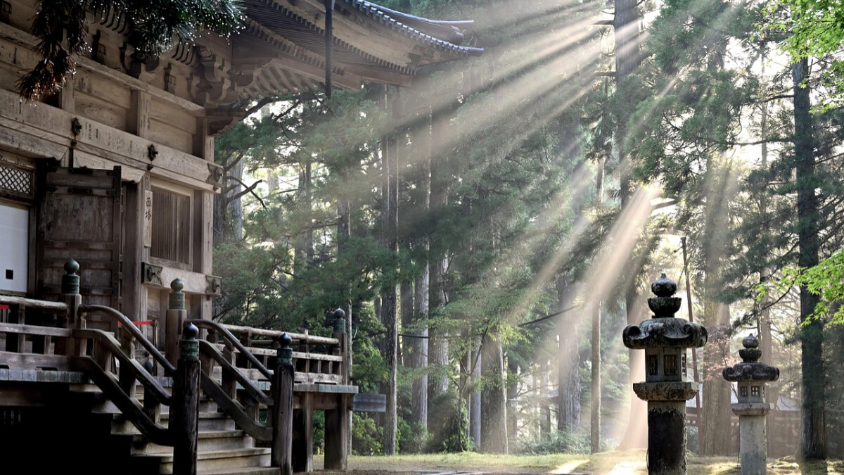 2026年生命流年數分析，看懂你的年度運勢&amp;amp;重塑自己的定位（含線上輸入計算工具）