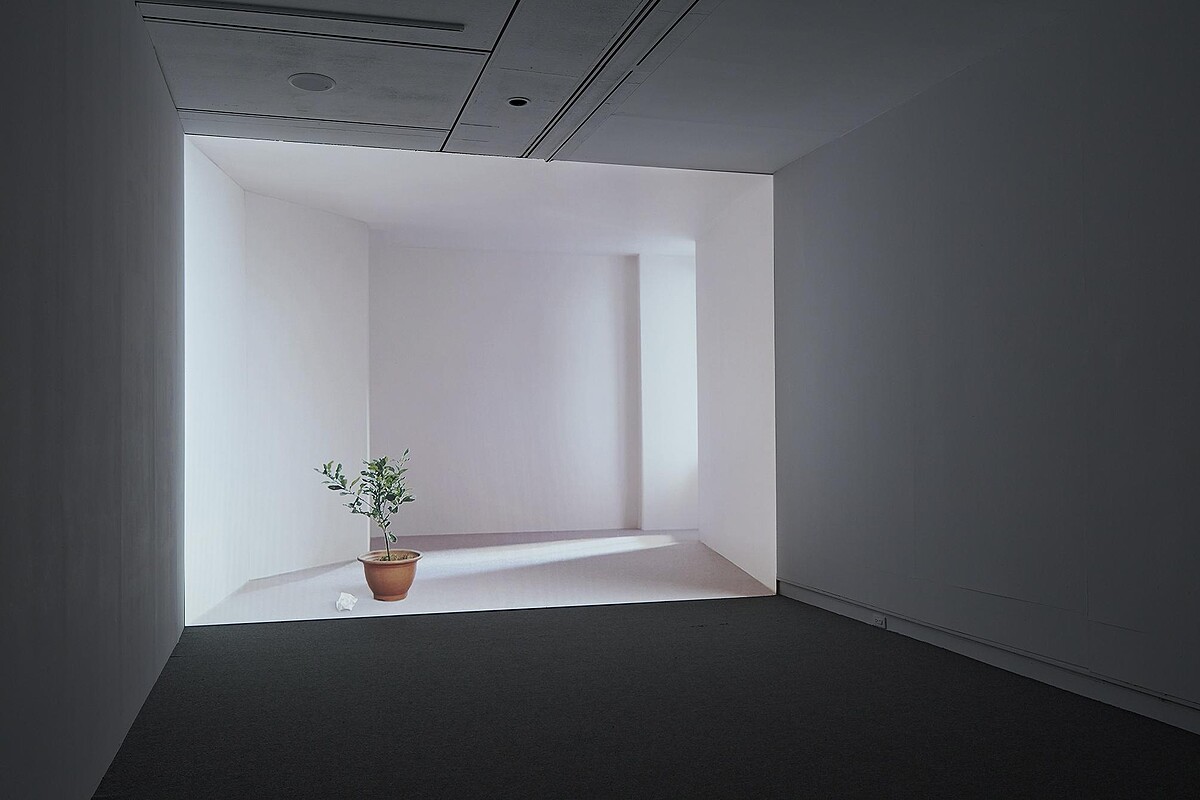 王雅慧，《日光下的靜物》，2005，錄像裝置，4分36秒。臺北市立美術館典藏。