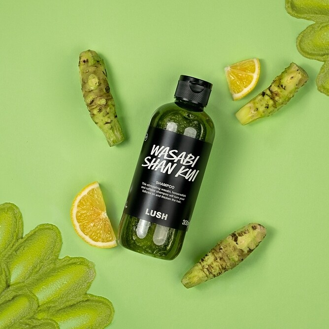 LUSH山葵洗髮露110g，NT600、290g，NT1,250、600g，NT2,000、1100g，NT3,400