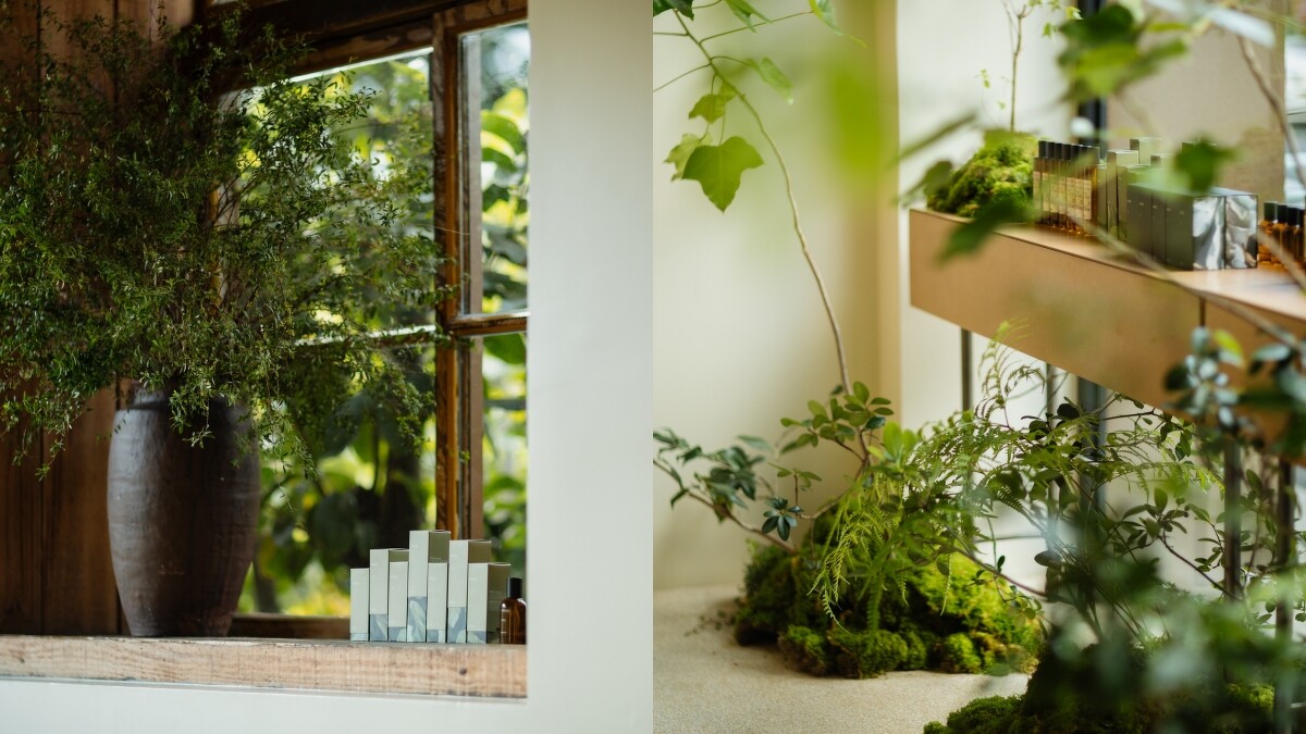 Aesop台中概念店的蔚香水 Virēre植物裝置。