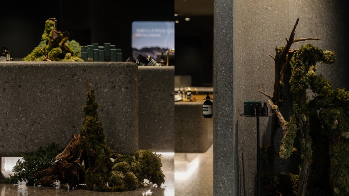 Aesop台中新光的熾香水 Hwyl 植物裝置。