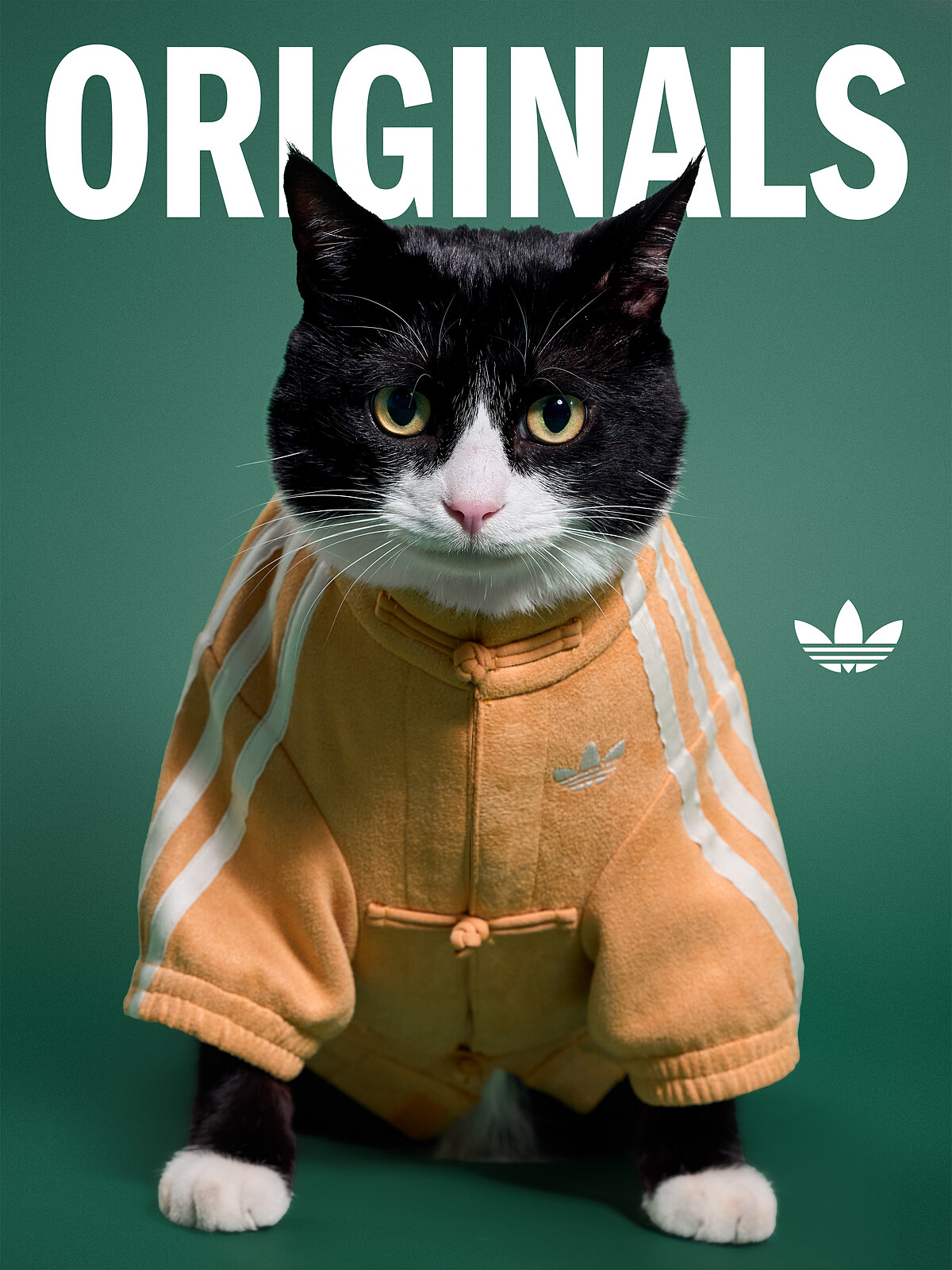 adidas Originals寵物新中式外套，NT$1,690。