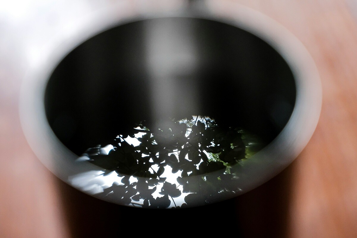 日本酒至今經過了速釀現代化、米荒、吟釀潮流等等。