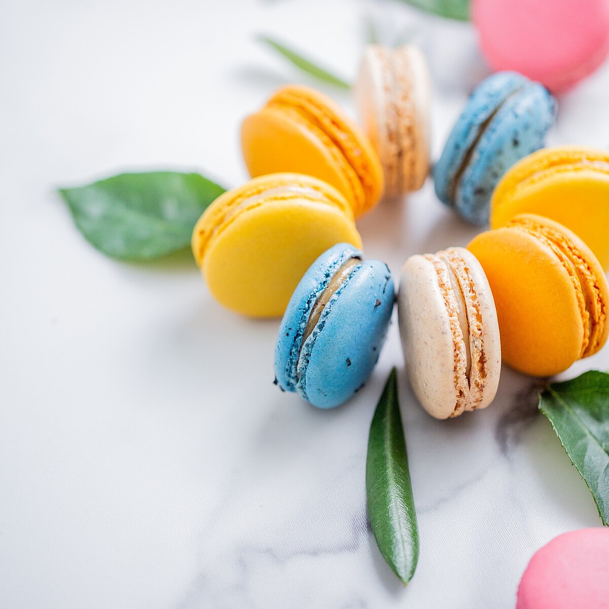 （圖片來源／@laduree.taiwan IG）