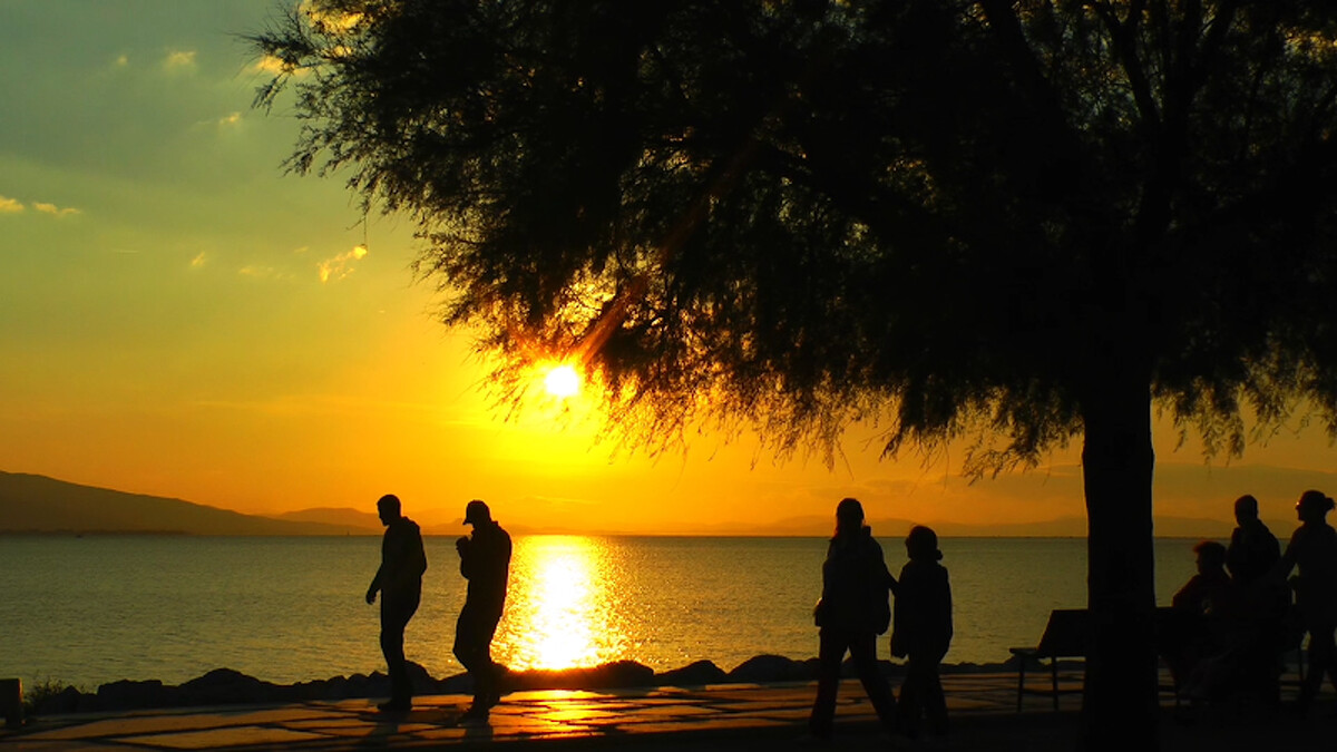 Photo / 塔羅耳語