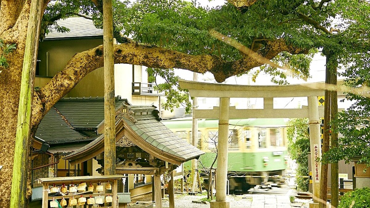 Photo／www.trip-kamakura.com