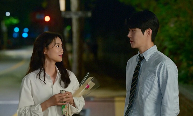 《愛情怎麼翻譯》李伊潭飾演申智善