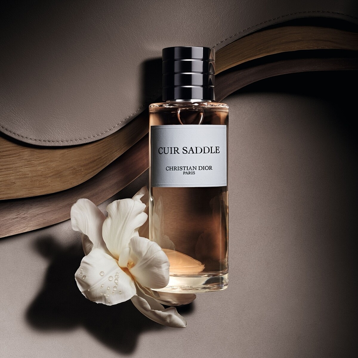 迪奧香氛世家皮革木語香氛情境圖。