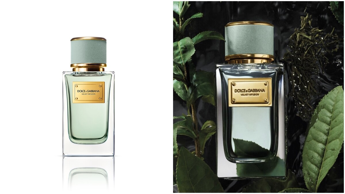 DOLCE&GABBANA天鵝絨-洌茶之韻