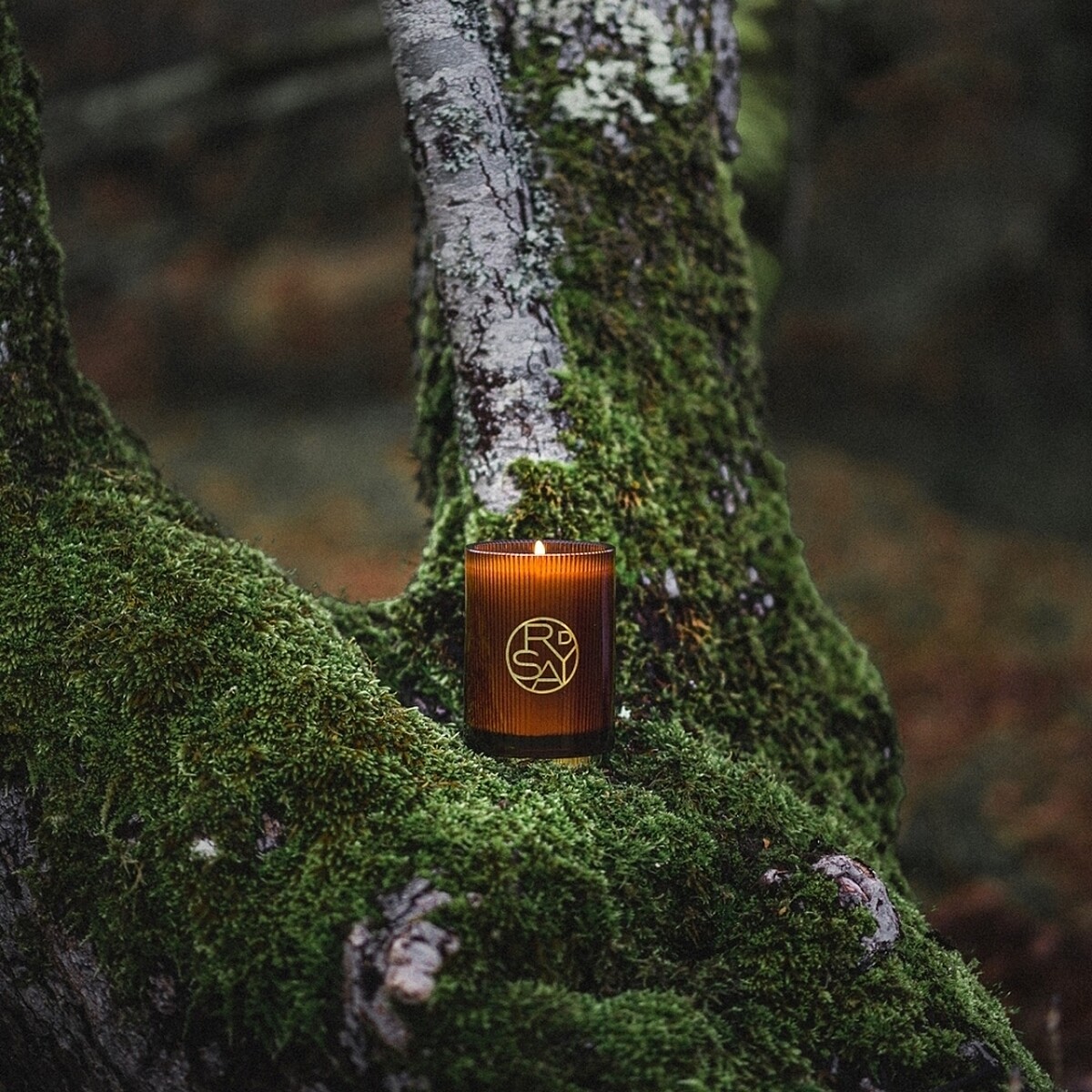 D'ORSAY居家香氛系列03:50香氛蠟燭250g，NT4,200