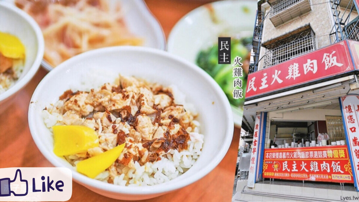 民主火雞肉飯