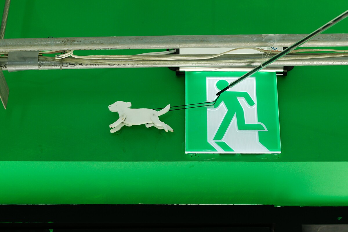 林盈潔《dog person》