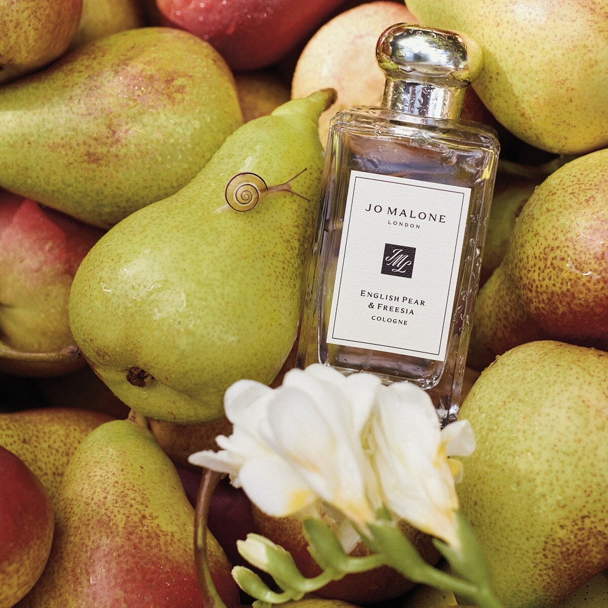 Jo Malone London英國梨與小蒼蘭香水30ml，NT2,950、50ml，NT4,200、100ml，NT5,850