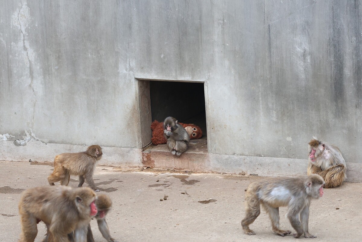 Photo / 市川市役所