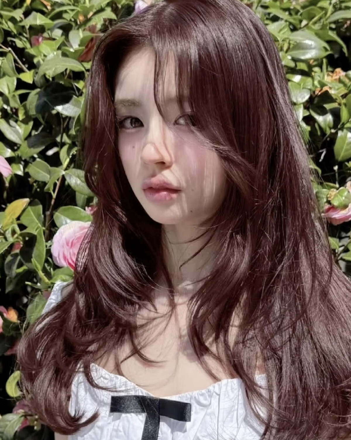 Photo/ 小紅書 @句號