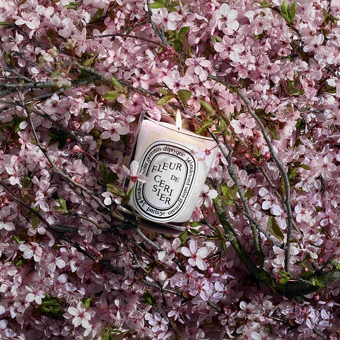 Diptyque季節限定版櫻花香氛蠟燭190g，NT2,300(Diptyque旗艦店和專門店獨家發售)