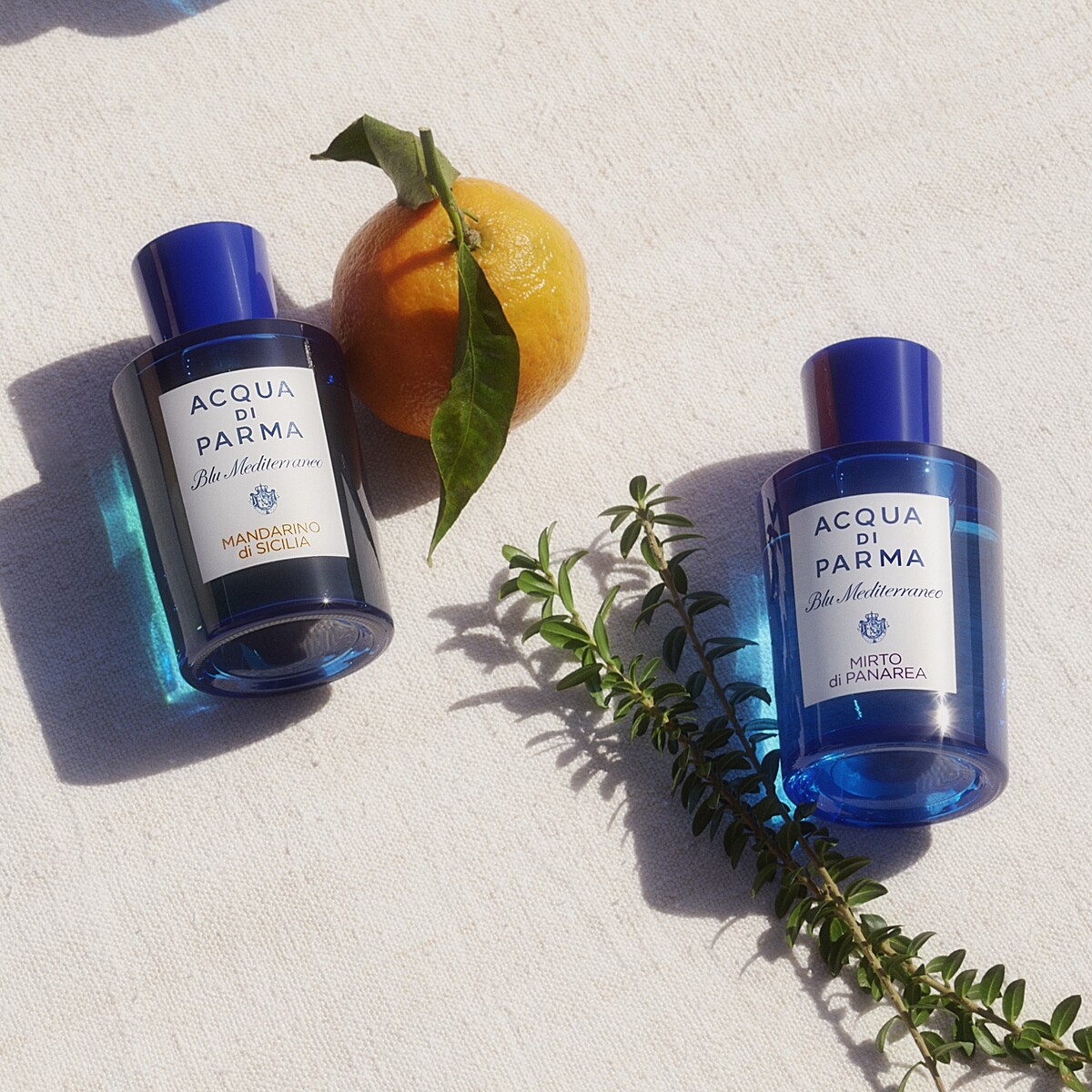 Acqua di Parma(右)藍色地中海系列帕納里亞加州桂淡香水100ml，NT6,900、150ml，NT7,500、180ml，NT9,000