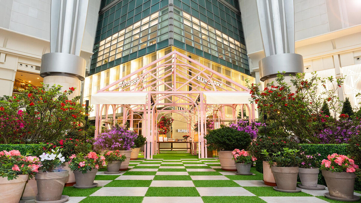 《新北花Young101》。