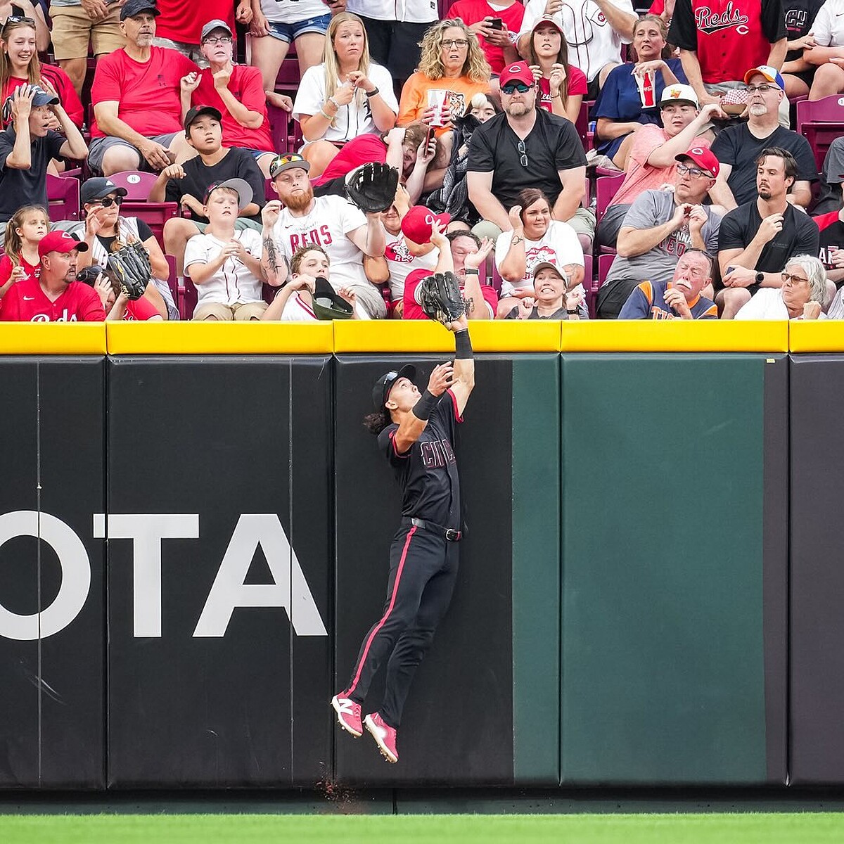 Photo/IG@stu_fairchild4