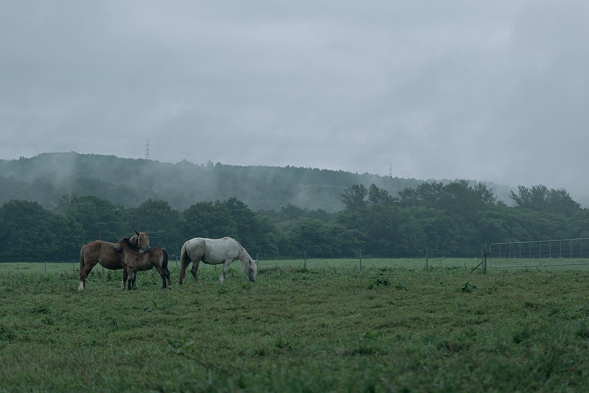 Azuma Farm Koiwai 說的是森林、山脈與傳統農業。
