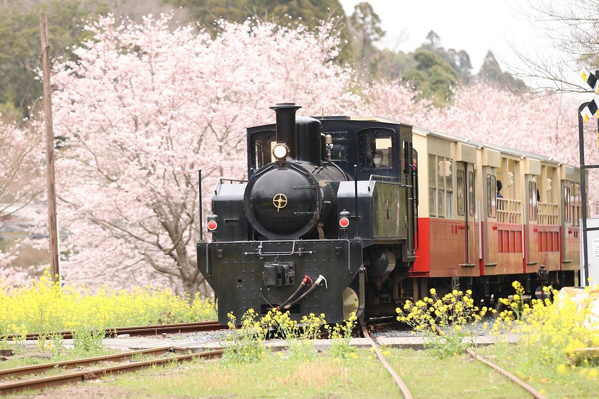 千葉縣境內知名的小湊鐵道。