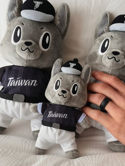 台湾队吉祥物 成为2026世界棒球经典赛WBC最受欢迎的萌力象徵（图片来源／hannafairchi IG）