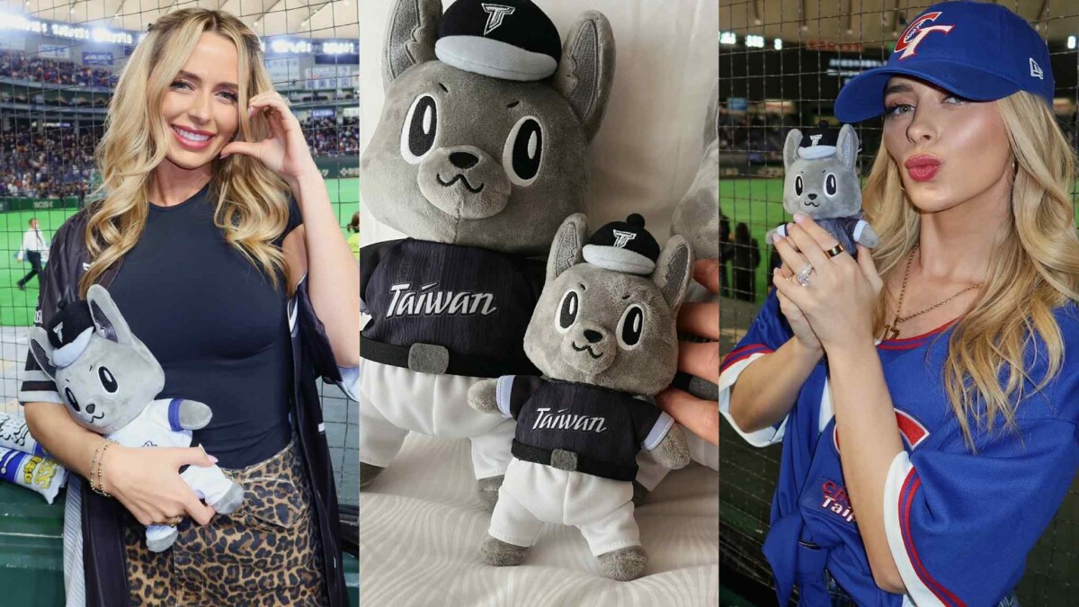 費仔老婆最愛的「歐告」布偶哪裡買？開賣時間+價錢一次看，官方宣布加賣5000隻