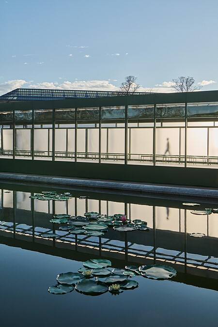 DiorAW26大秀秀場設計。