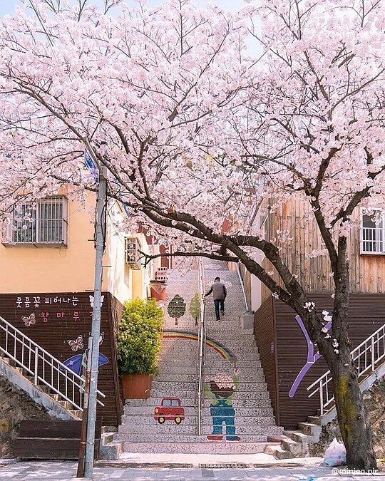 楮田壁畫村(Photo/韓國觀光公社)