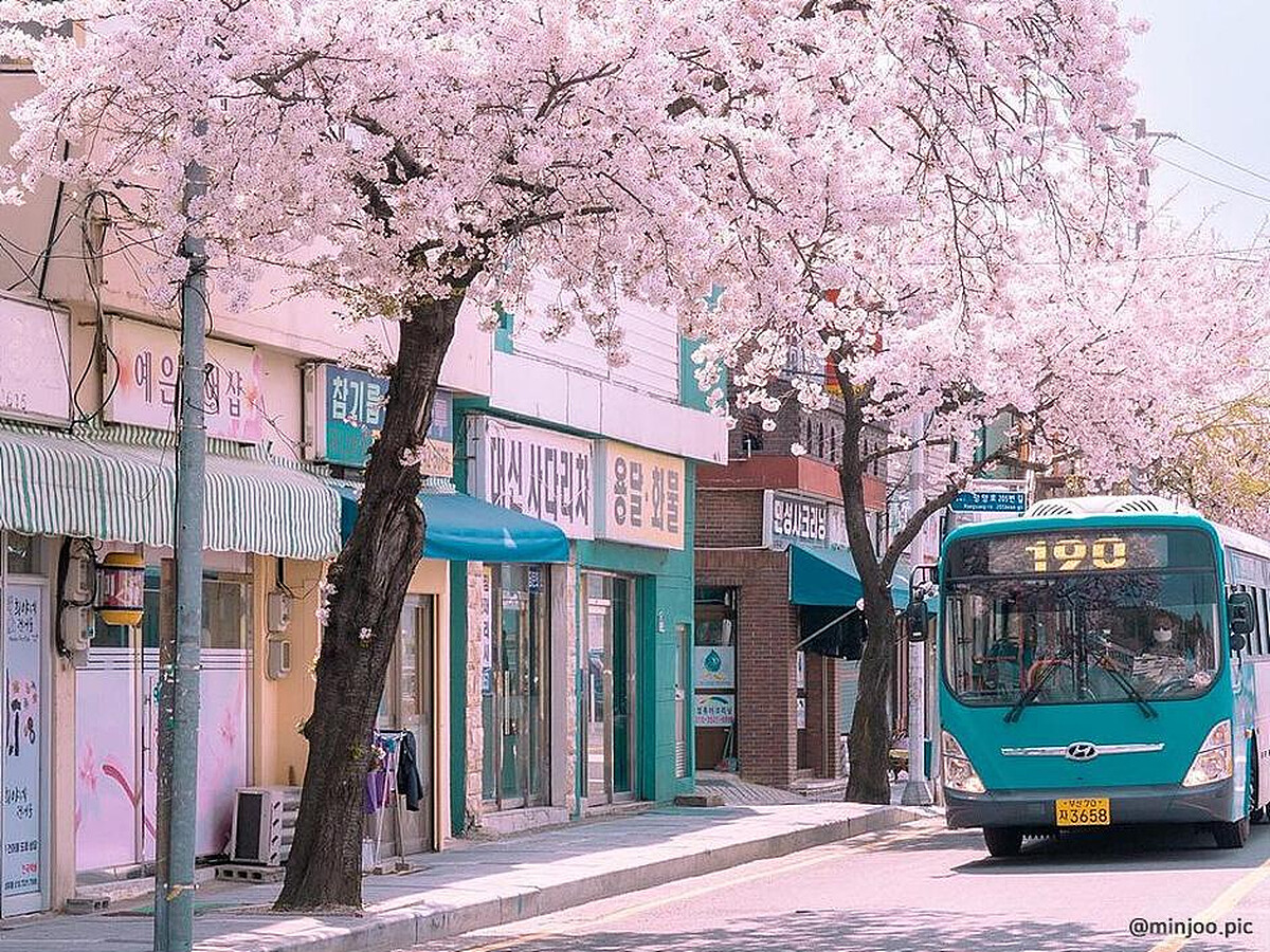 楮田壁畫村(Photo/韓國觀光公社)