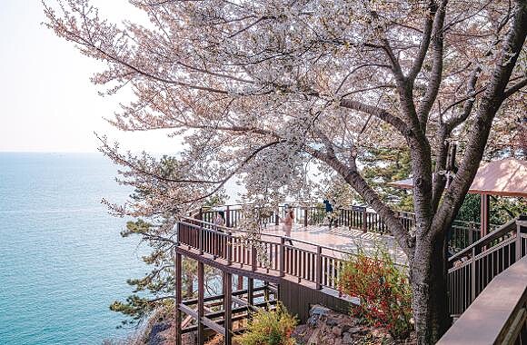 海雲台迎月路(Photo/Visit Busan)