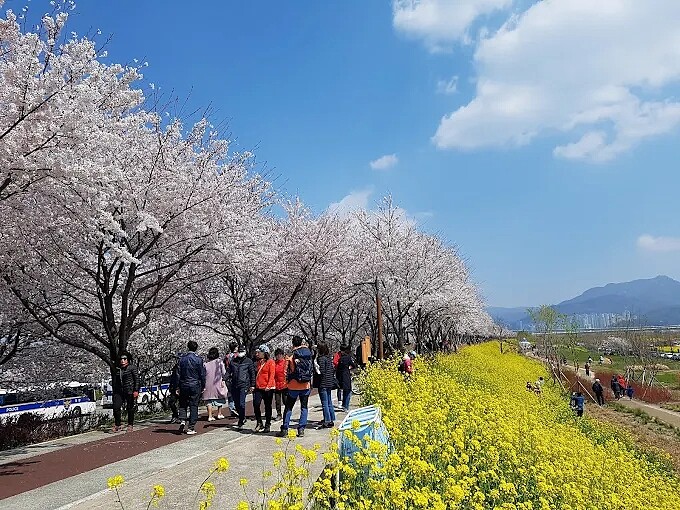 大渚生態公園(Photo/翻攝自Google Map)