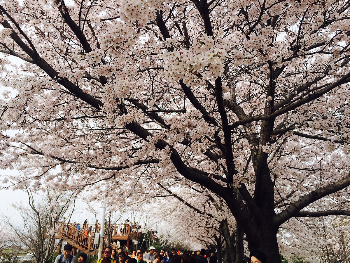 三樂生態公園(Photo/Julia)