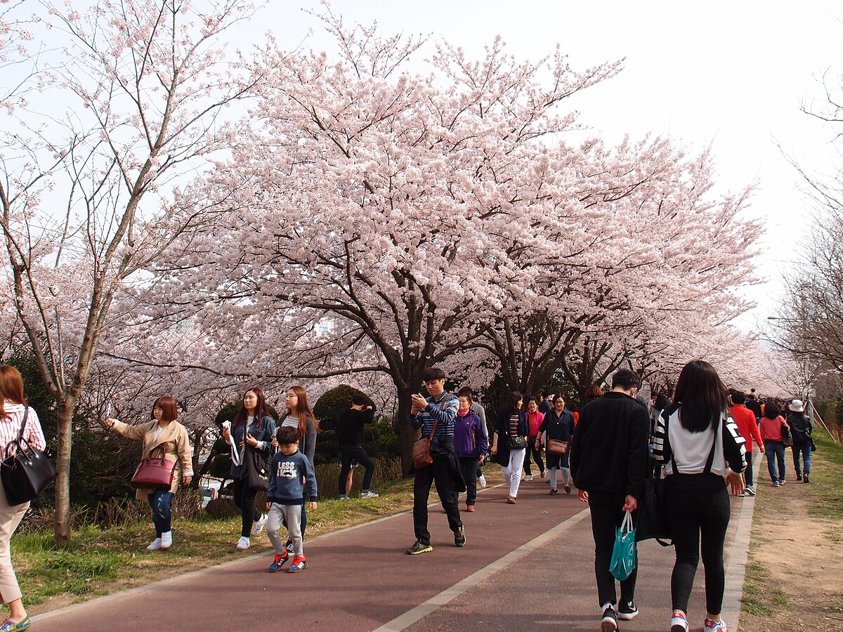 三樂生態公園(Photo/Julia)