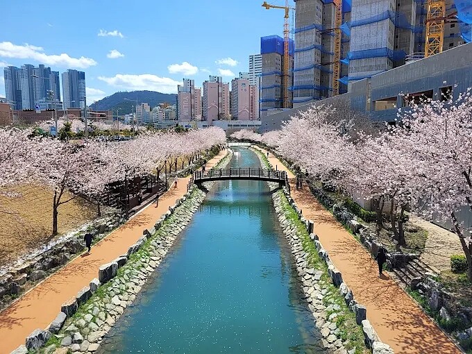 東三海水川路(Photo/翻攝自Google Map)