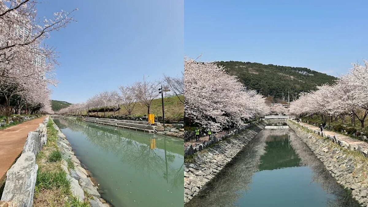 東三海水川路(Photo/翻攝自Google Map)