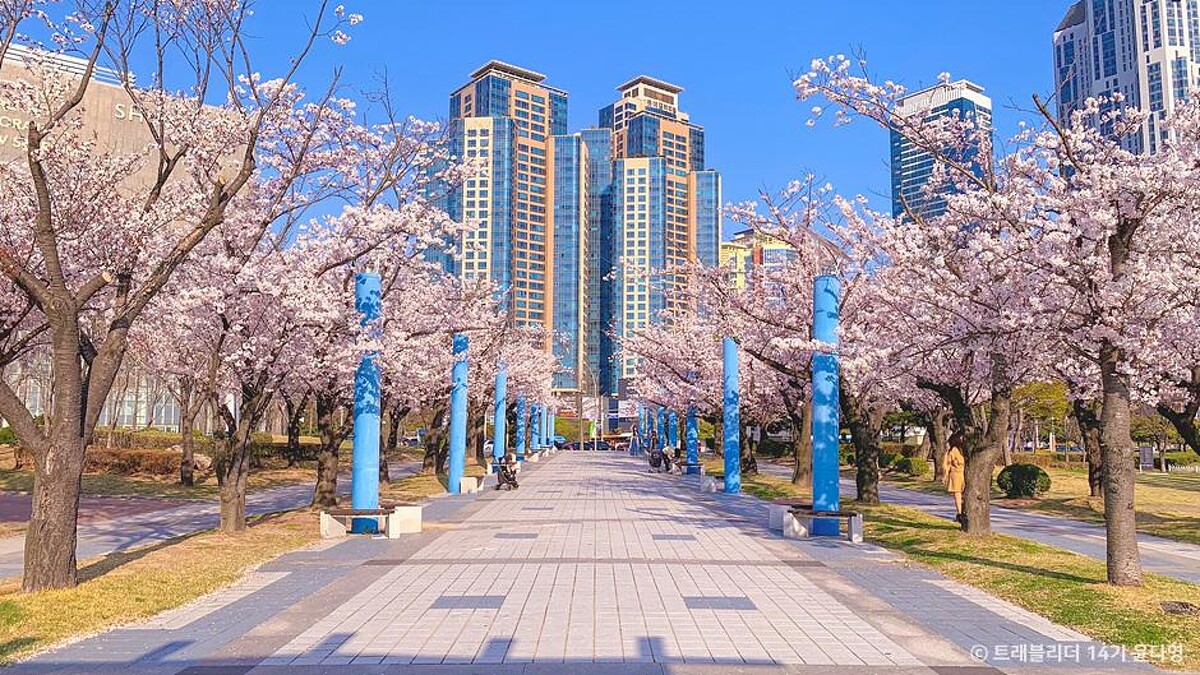 APEC渡口公園(Photo/韓國觀光公社)