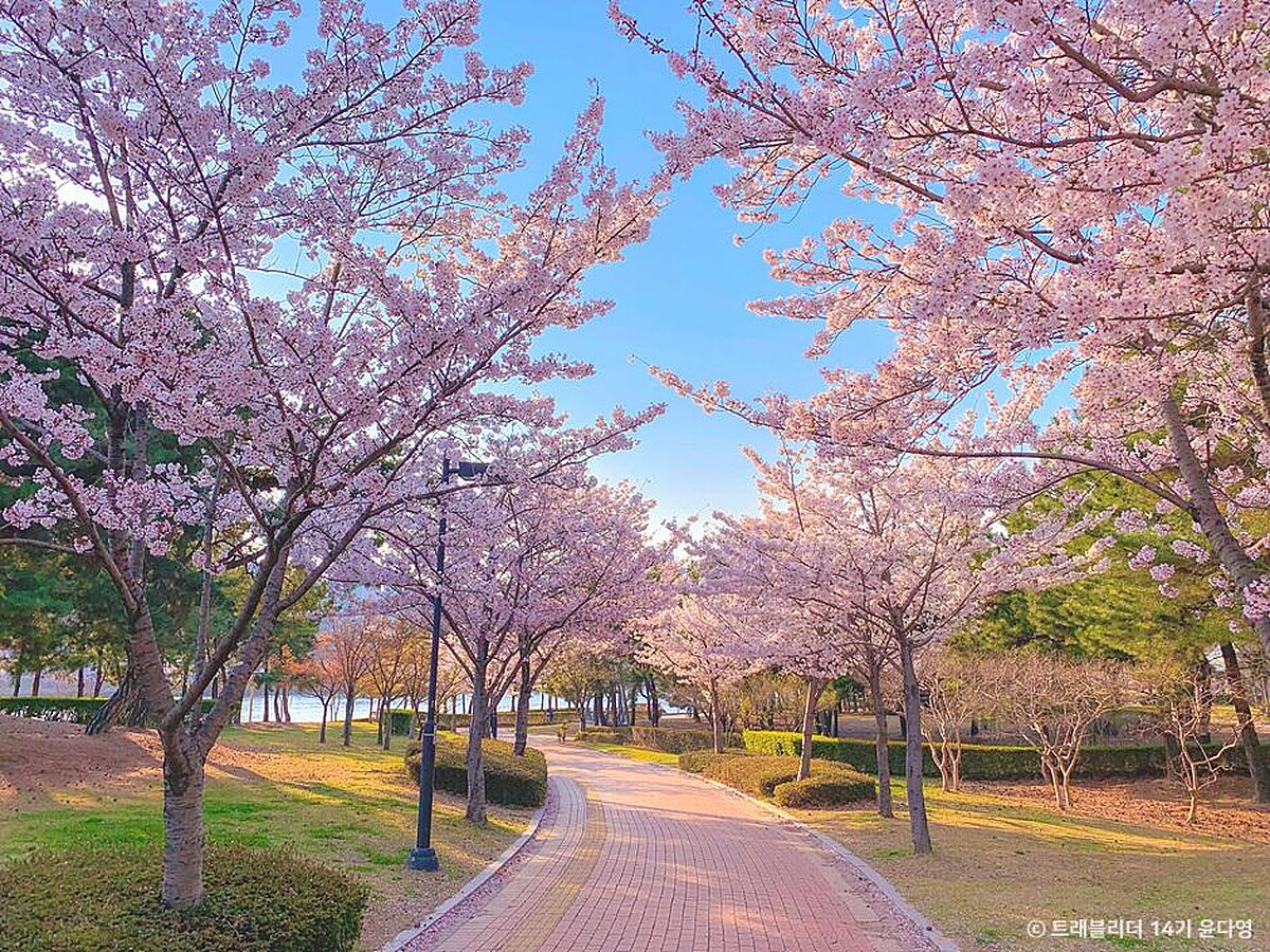 APEC渡口公園(Photo/韓國觀光公社)