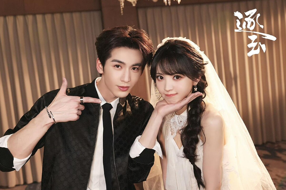 觀眾戲稱張凌赫、田曦薇是「仇二代」。