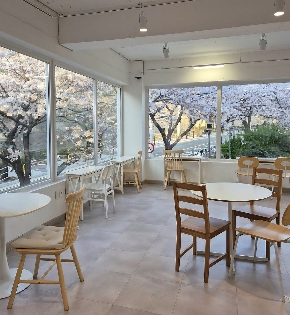 釜山櫻花咖啡廳Perle di Perle(Photo/翻攝自Naver Map)