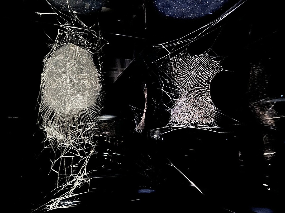 展出作品〈关注之网〉｜Melody TU 採访拍摄