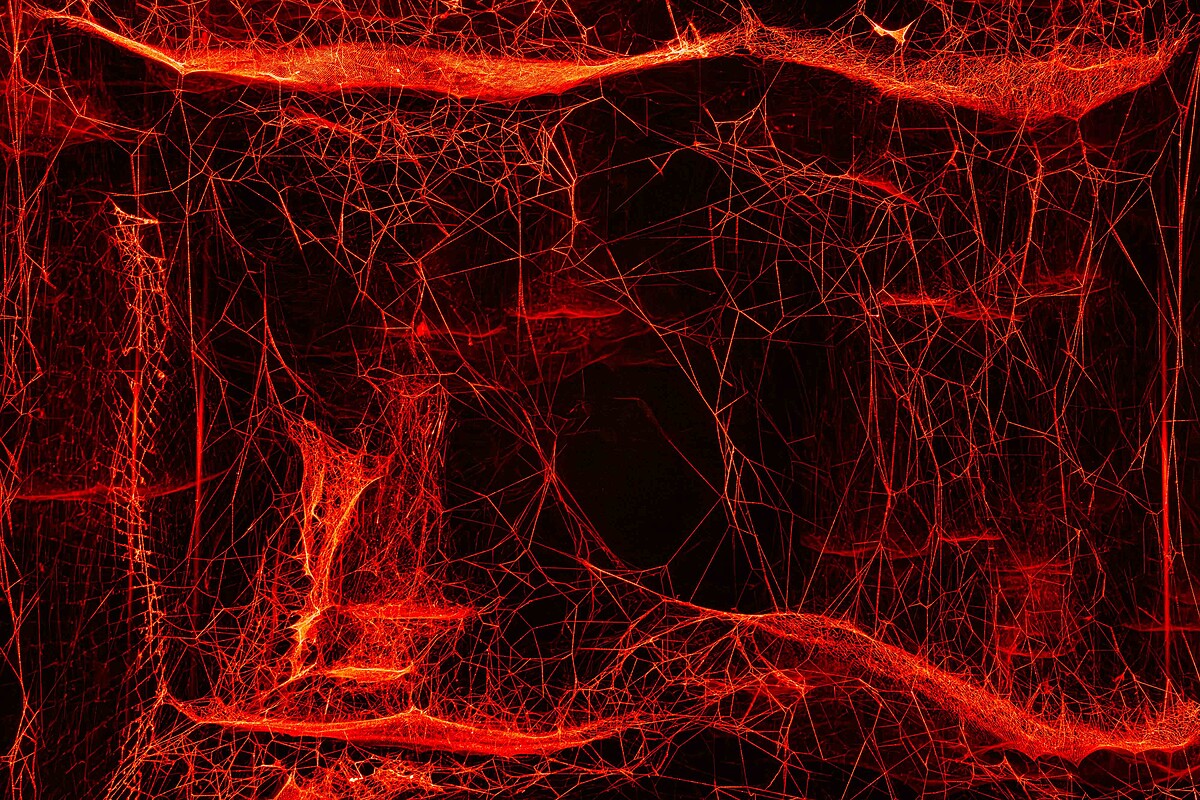 托马斯．萨拉切诺，〈如何将宇宙陷入蛛网〉，2025。（新北市美术馆提供，摄影：林轩朗）