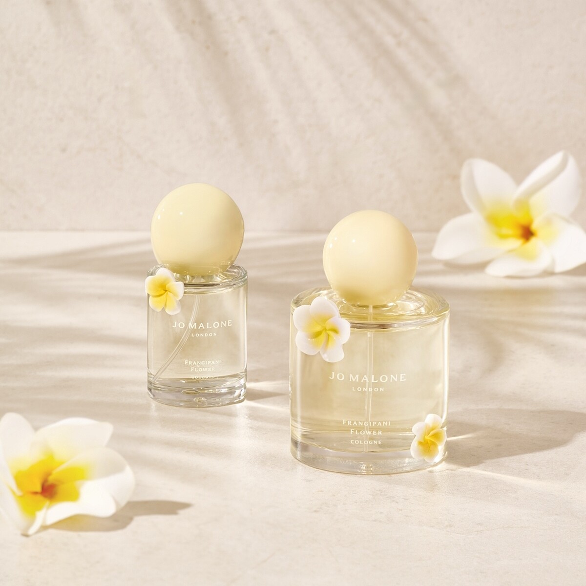 Jo Malone London雞蛋花限量版香水30ml，NT3,100、100ml，NT6,150