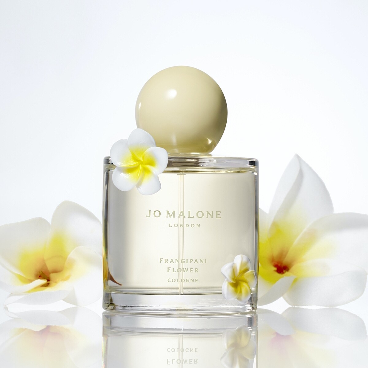 Jo Malone London雞蛋花限量版香水30ml，NT3,100、100ml，NT6,150