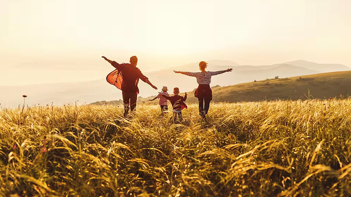 2026年MBTI運勢｜INTP邏輯學家的「真理具象年」，讓天才思維落地現實