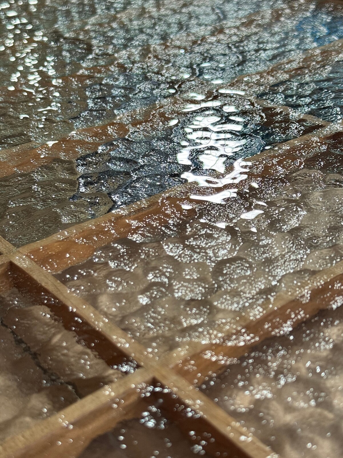 巴塞爾藝術展香港展會 2026|黃麗音 Steph Huang|嫁接(局部)|木、手工吹製玻璃、低碳鋼、鋁、銅、青銅、顏料、玻璃、金屬線、混凝土、樹脂、榻榻米墊、燈泡|220 × 800 × 1200 cm(尺寸可變)|圖片提供:藝術家與貝浩登 Courtesy of the artist and Perrotin