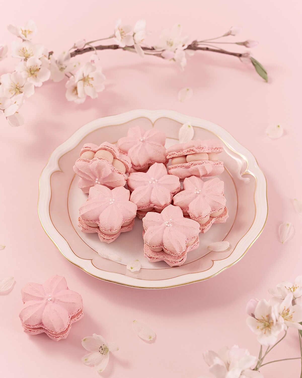 Caf&eacute; Dasique的粉紅櫻花馬卡龍(Photo/翻攝自Naver Map)